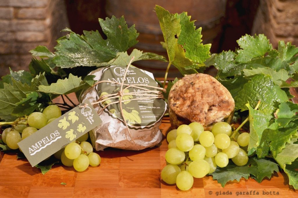 pecorino-ampelos