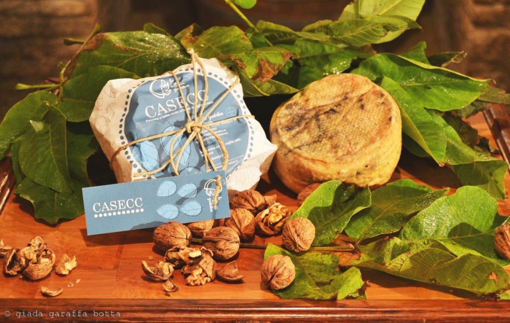 pecorino-casecc