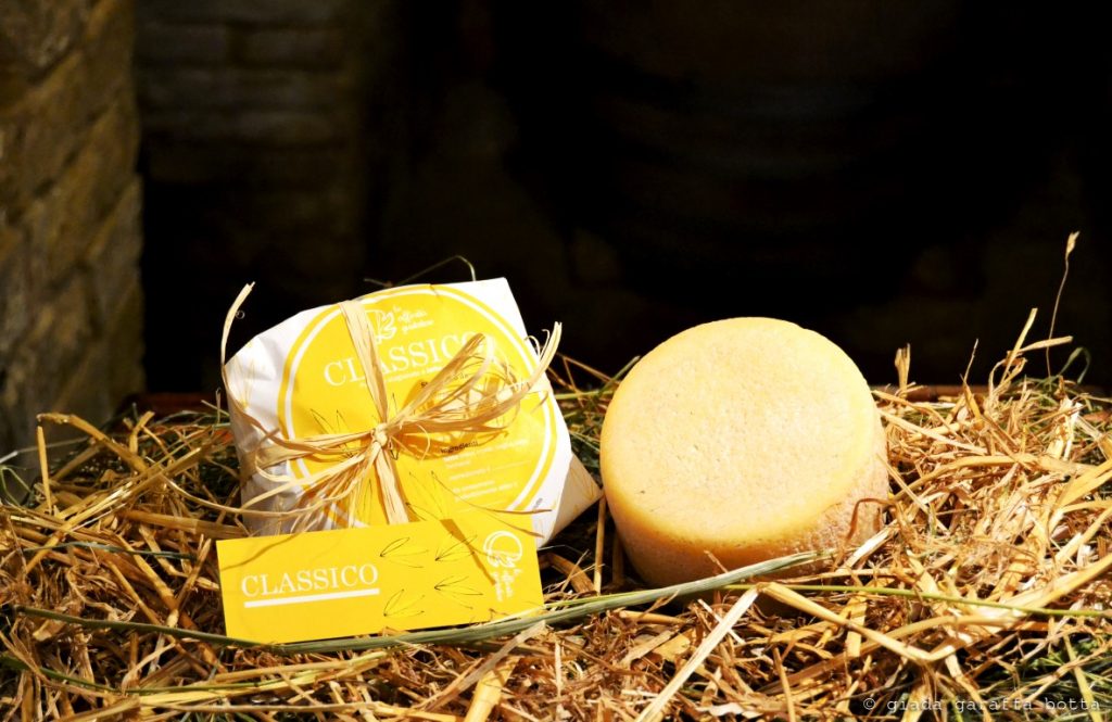 pecorino-classico