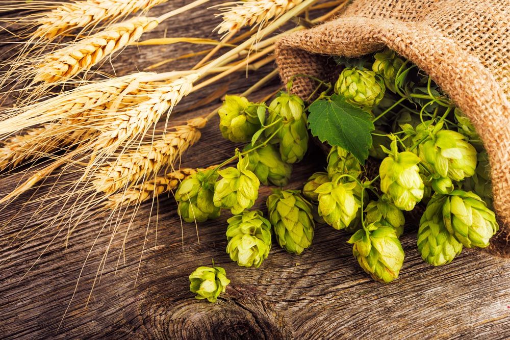 birre marchigiane